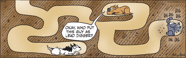 Dogs of C-Kennel for 10/6/2023, Dogs of C-Kennel